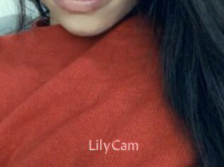LilyCam