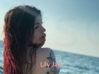 Lily_Jay