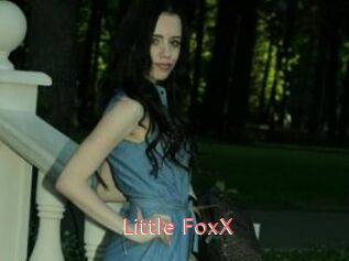 Little_FoxX