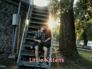 Little_Kittens