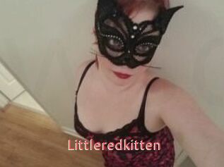 Littleredkitten