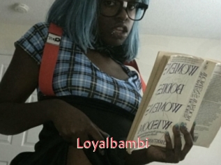 Loyalbambi Webcam Sexe Direct