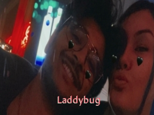 Laddybug