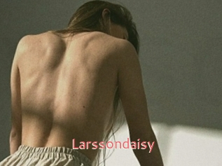 Larssondaisy