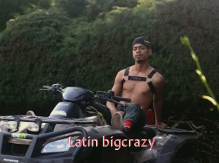 Latin_bigcrazy