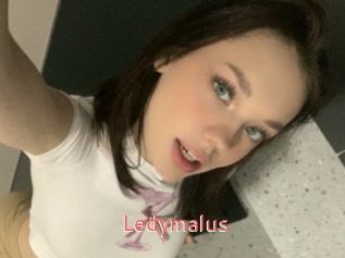 Ledymalus