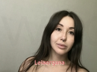 Leiaorgana