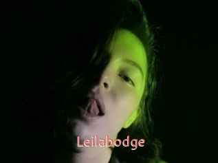 Leilabodge