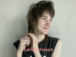 Leilaharvison