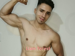 Liam_forest