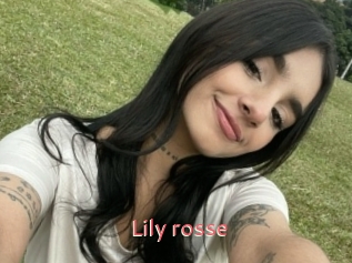 Lily_rosse