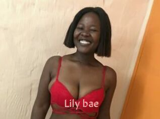 Lily_bae