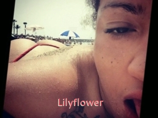 Lilyflower