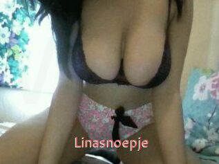Linasnoepje