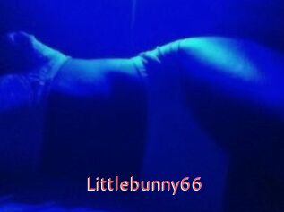 Littlebunny66