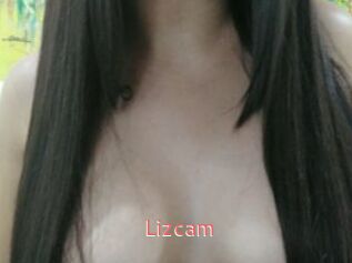 Lizcam