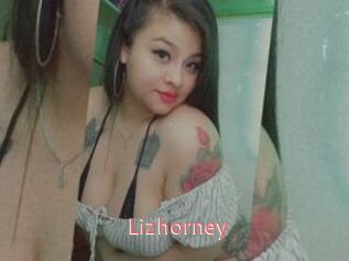 Lizhorney
