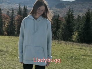 Lladybugg