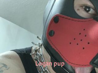 Logan_pup