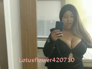 Lotusflower420710