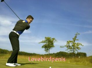 Lovebirdpenis