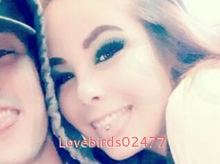 Lovebirds02477