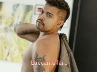 Luccamallard