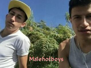 Malehotboys