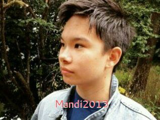 Mandi2013