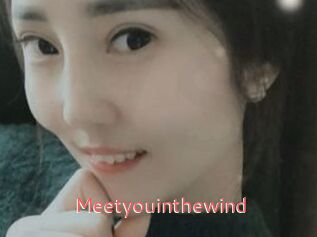 Meetyouinthewind
