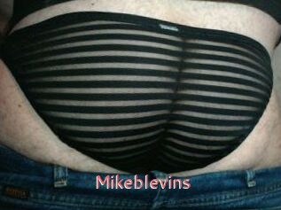 Mikeblevins