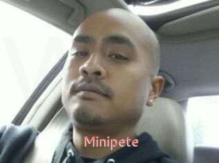 Minipete
