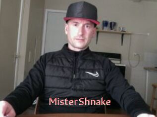 MisterShnake