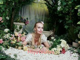 MiyaWalles