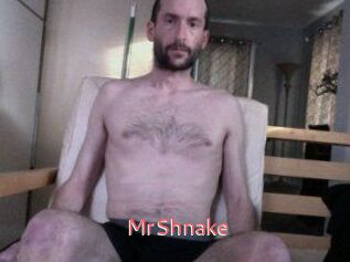 MrShnake