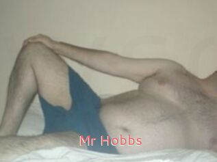 Mr_Hobbs