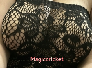 Magiccricket