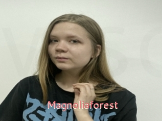 Magnoliaforest