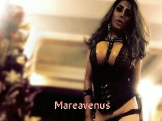 Mareavenus