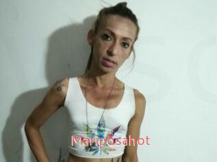 Mariposa_hot