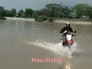 Maurillobig