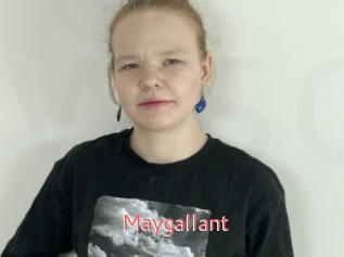 Maygallant