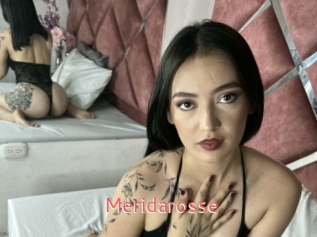 Meridarosse