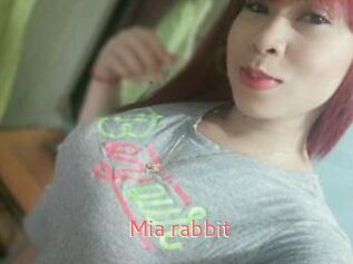 Mia_rabbit