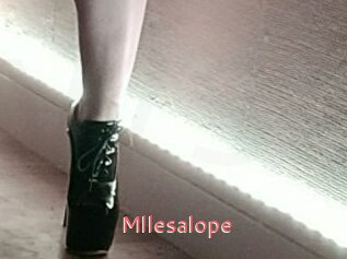 mllesalope Webcam Sexe Direct