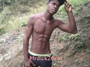 Mrdick20cm