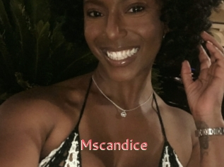 Mscandice