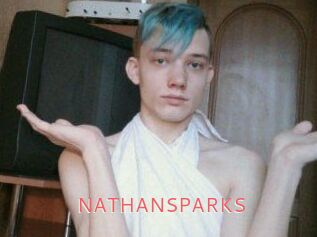NATHAN_SPARKS