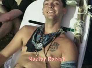 Nectar_Rabbit