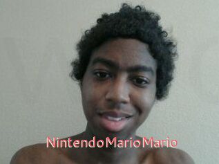NintendoMarioMario